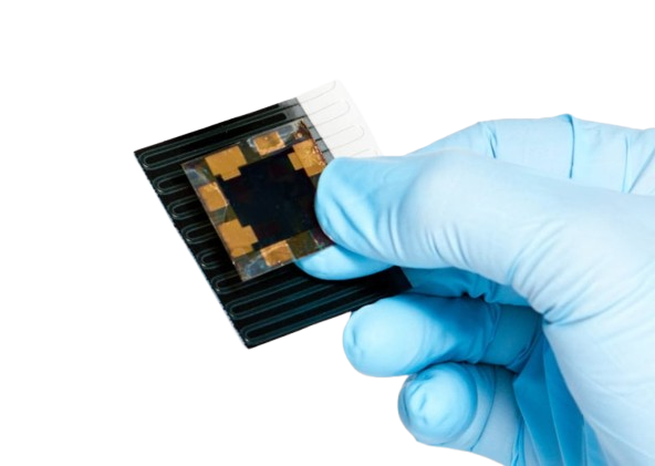 🌍 The Road Ahead: Nano-Powered Sustainability